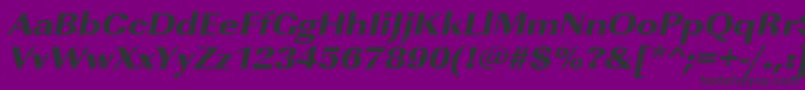 UrwimperialtultbolextwidOblique Font – Black Fonts on Purple Background