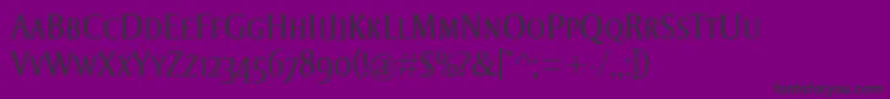 StrayhornMtScLight Font – Black Fonts on Purple Background