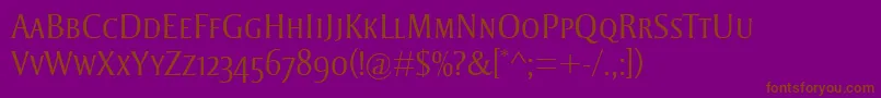 StrayhornMtScLight Font – Brown Fonts on Purple Background