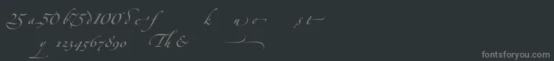 ZapfinoforteltAlternate Font – Gray Fonts on Black Background