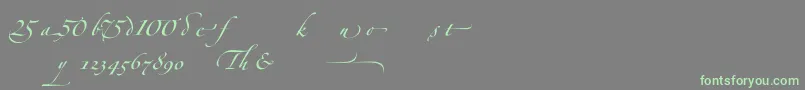 ZapfinoforteltAlternate Font – Green Fonts on Gray Background