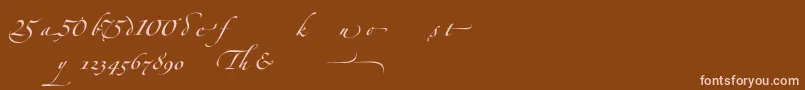 ZapfinoforteltAlternate Font – Pink Fonts on Brown Background