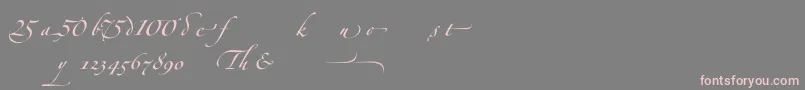 ZapfinoforteltAlternate Font – Pink Fonts on Gray Background