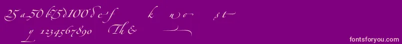 ZapfinoforteltAlternate Font – Pink Fonts on Purple Background