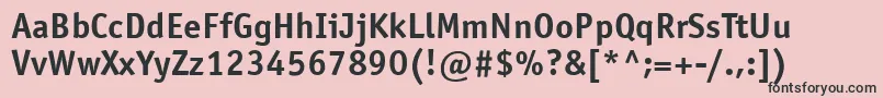 OfficinasanstttBold Font – Black Fonts on Pink Background