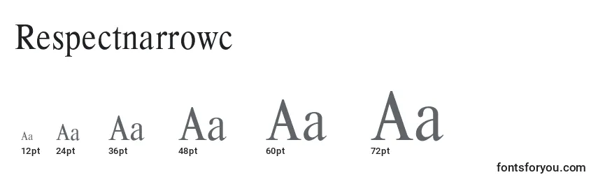 Размеры шрифта Respectnarrowc
