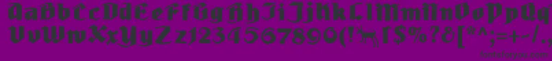 Ludwighohlwein Font – Black Fonts on Purple Background