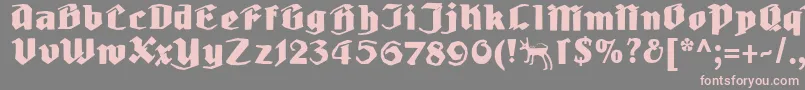 Ludwighohlwein Font – Pink Fonts on Gray Background