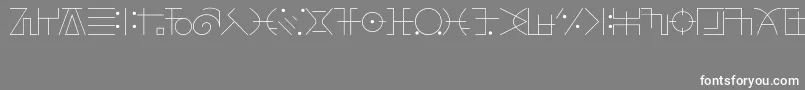 FringeObserverFont Font – White Fonts on Gray Background