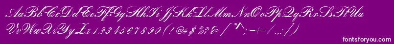 RomanticaSc Font – White Fonts on Purple Background