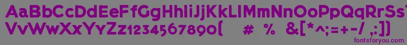 Шрифт Lietzblockdemo – фиолетовые шрифты на сером фоне