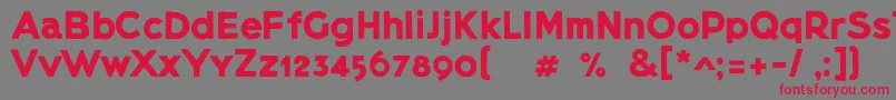 Lietzblockdemo-Schriftart – Rote Schriften auf grauem Hintergrund