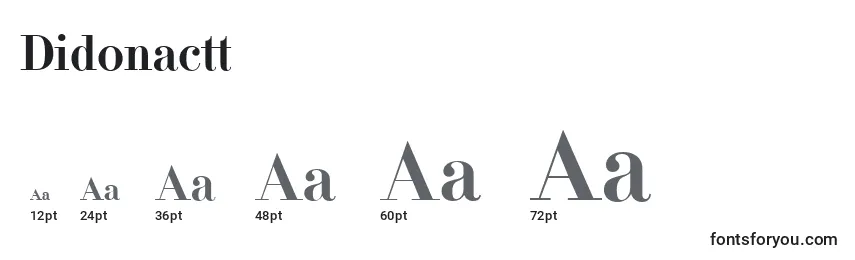 Размеры шрифта Didonactt