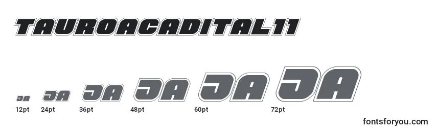 Размеры шрифта Tauroacadital11