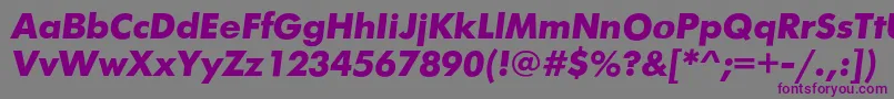 FuturafuturiscBolditalic Font – Purple Fonts on Gray Background