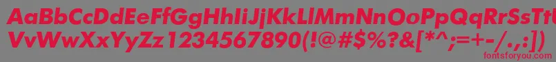 FuturafuturiscBolditalic Font – Red Fonts on Gray Background