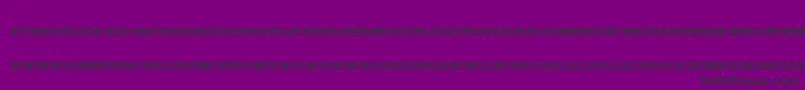 Bin01st-Schriftart – Schwarze Schriften auf violettem Hintergrund