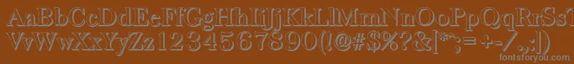 BaskervilleshadowMediumRegular-Schriftart – Graue Schriften auf braunem Hintergrund
