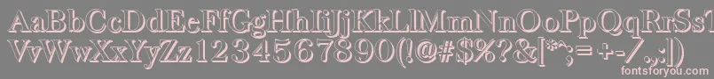 Police BaskervilleshadowMediumRegular – polices roses sur fond gris