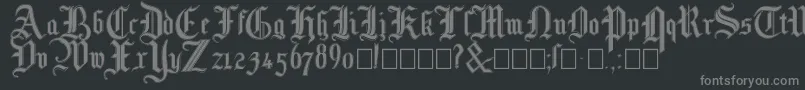 Police Mottisfontno3 – polices grises sur fond noir
