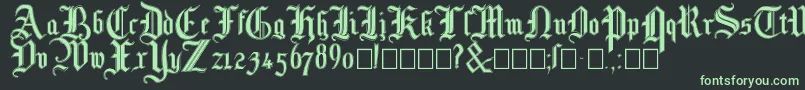 Mottisfontno3 Font – Green Fonts on Black Background