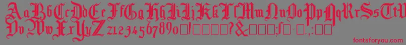 Mottisfontno3 Font – Red Fonts on Gray Background