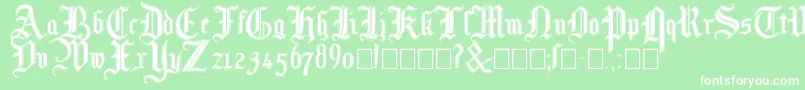 Mottisfontno3 Font – White Fonts on Green Background