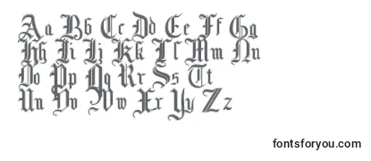 Review of the Mottisfontno3 Font