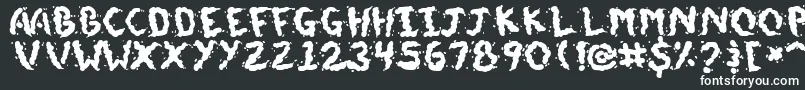 DoggieDoodie Font – White Fonts