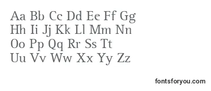 Обзор шрифта Agfarotisserif
