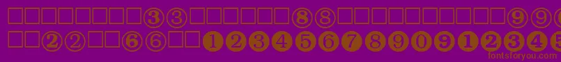 NumeralsttRegular Font – Brown Fonts on Purple Background