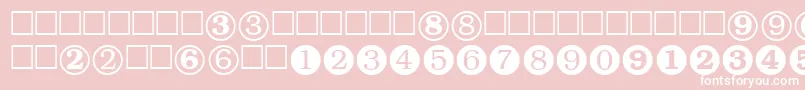 NumeralsttRegular Font – White Fonts on Pink Background