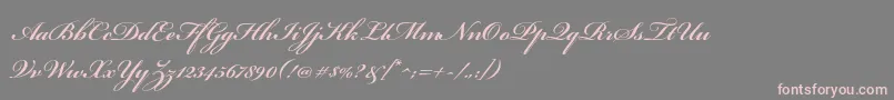 フォントBickhamscriptproSemibold – 灰色の背景にピンクのフォント