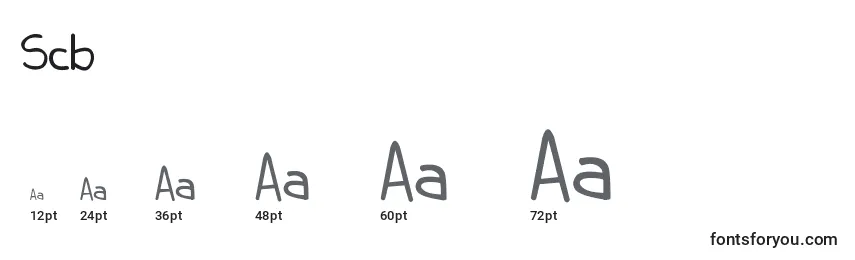 Scb Font Sizes