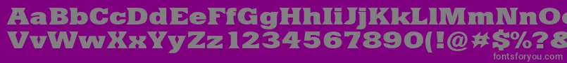 YacimientoExtraboldEx Font – Gray Fonts on Purple Background