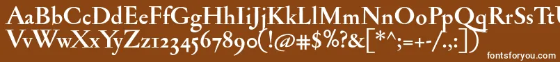 JannonantosfBold Font – White Fonts on Brown Background