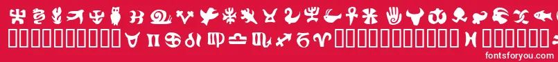 フォントFrutigersymbolsPositiv – 赤い背景に白い文字