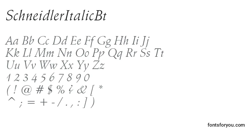 Czcionka SchneidlerItalicBt – alfabet, cyfry, specjalne znaki