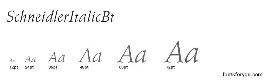 Размеры шрифта SchneidlerItalicBt