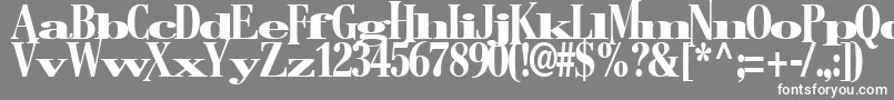 BostonRegularTtstd Font – White Fonts on Gray Background