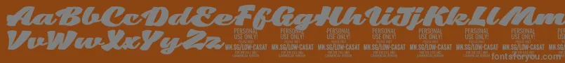 LowcasatfatPersonalUse Font – Gray Fonts on Brown Background