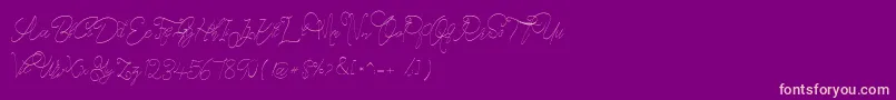 CeciliaScript Font – Pink Fonts on Purple Background