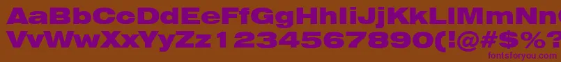 Swiss721BlackExtendedBt Font – Purple Fonts on Brown Background