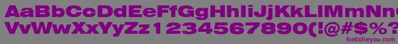 Swiss721BlackExtendedBt Font – Purple Fonts on Gray Background