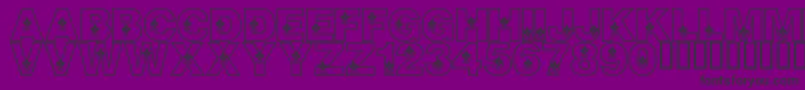 LmsCanadianOlympicSpirit Font – Black Fonts on Purple Background