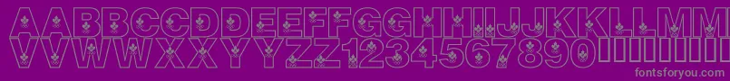 LmsCanadianOlympicSpirit Font – Gray Fonts on Purple Background