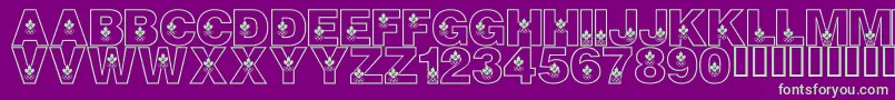 LmsCanadianOlympicSpirit Font – Green Fonts on Purple Background