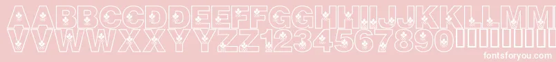 LmsCanadianOlympicSpirit-Schriftart – Weiße Schriften auf rosa Hintergrund