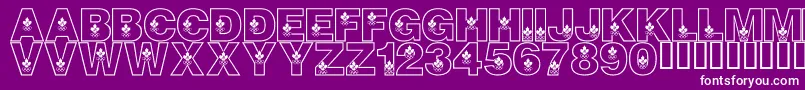 LmsCanadianOlympicSpirit Font – White Fonts on Purple Background