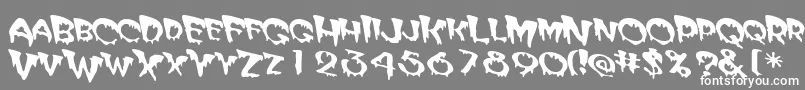 Matteroffact Font – White Fonts on Gray Background